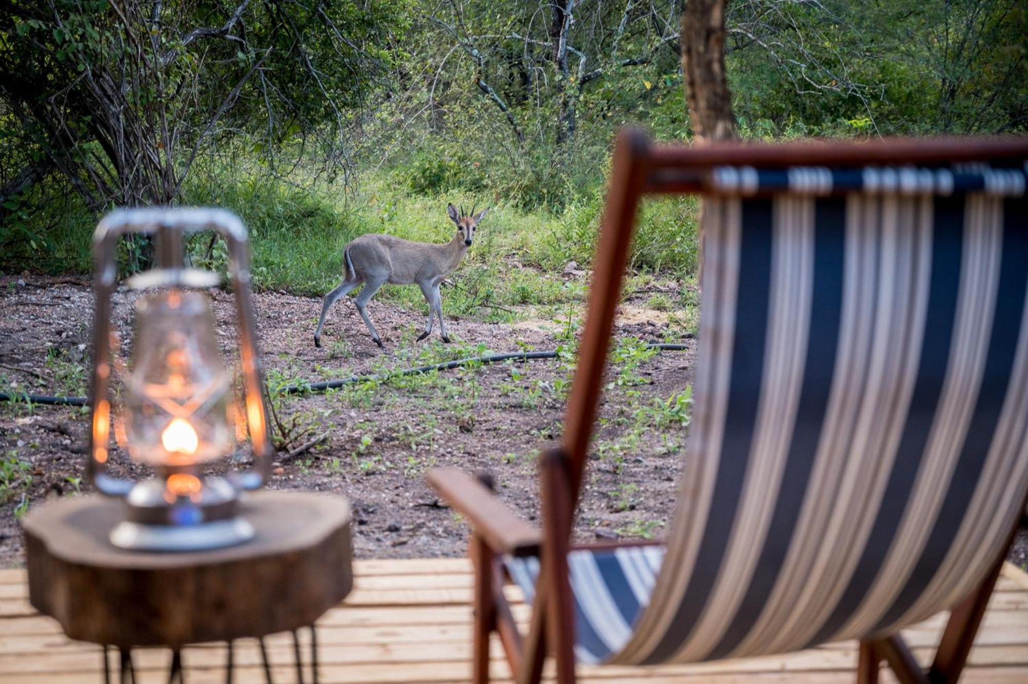 Bosveld Villa Marloth Park Eksteriør billede
